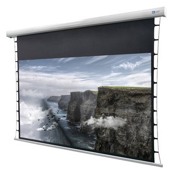 DELUXX Cinema Motorleinwand Tension 221 x 124cm, 100 - 4k Pro Fibre MWHT