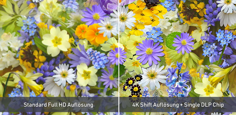 Optoma Photon Life PK 32 4K oder Full HD Vergleich