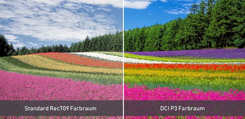 XGIMI Titan Farbraum DCI P3