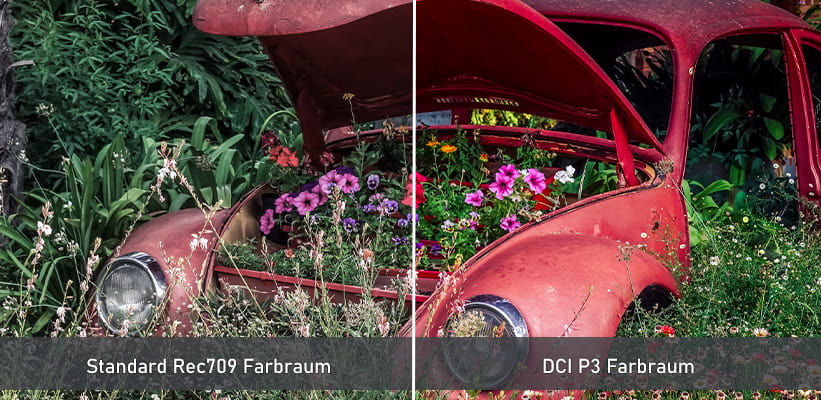 LG BU53RG Farbraum Vergleich