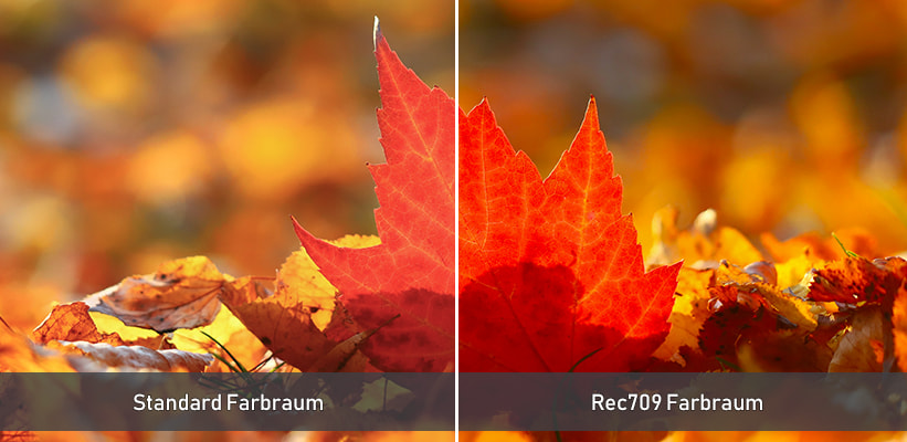 ViewSonic V754K Rec709 Farbraum Bildvorteil