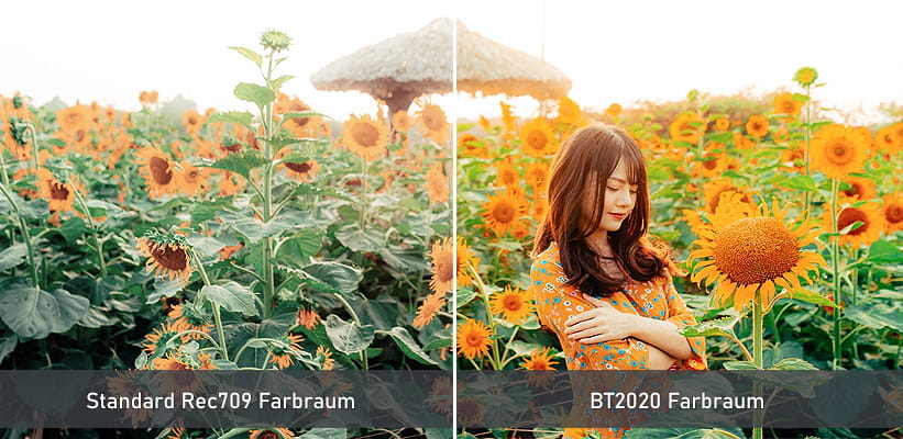 Hisense PX1-Pro BT2020 Farbraum Praxisvergleich
